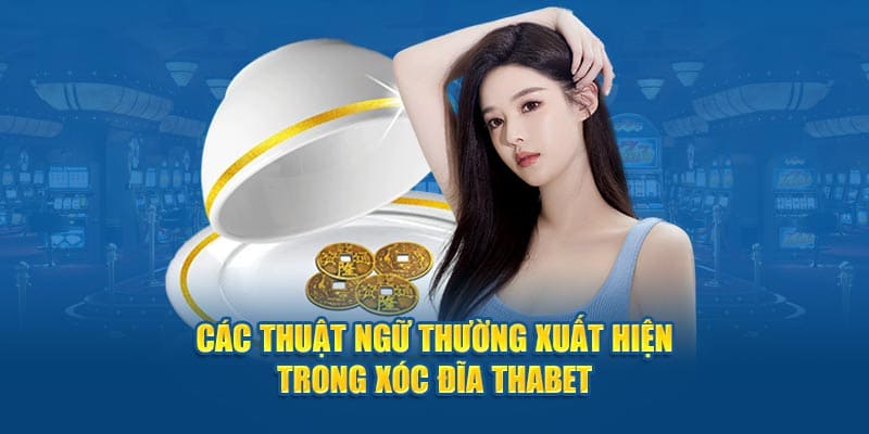 Các thuật ngữ trong trò chơi xóc đĩa thabet