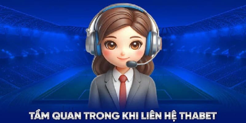 Liên hệ thabet được hỗ trợ gì?