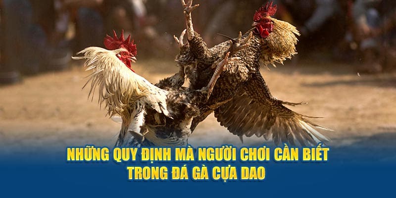 Luật đá gà cựa dao